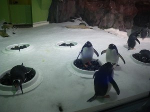 They just stand there, watching, waiting....