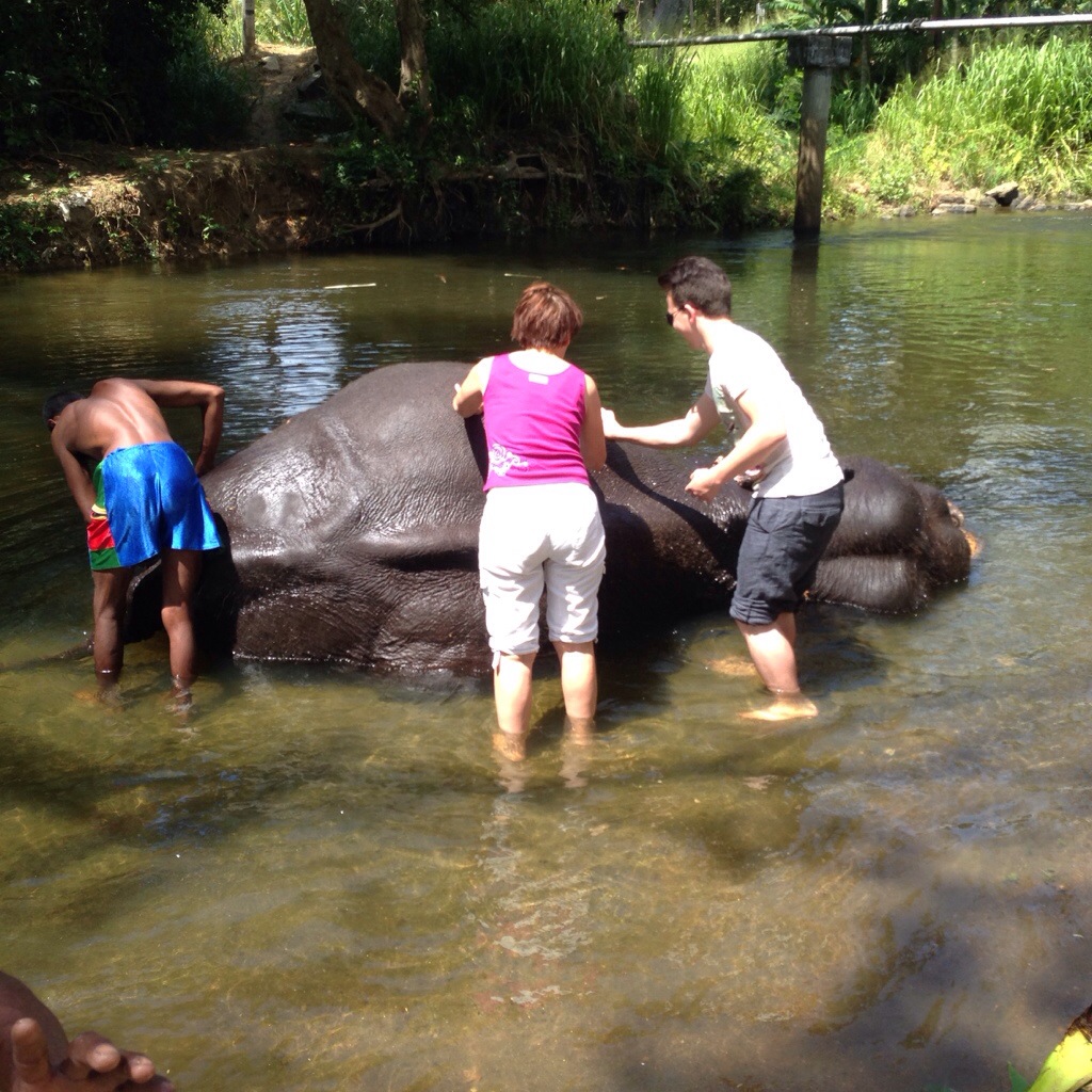 Sri Lanka day&nbsp;three